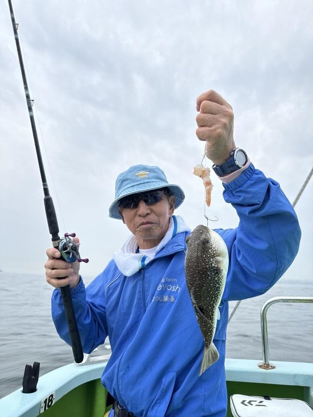 フグ(ショウサイフグ)