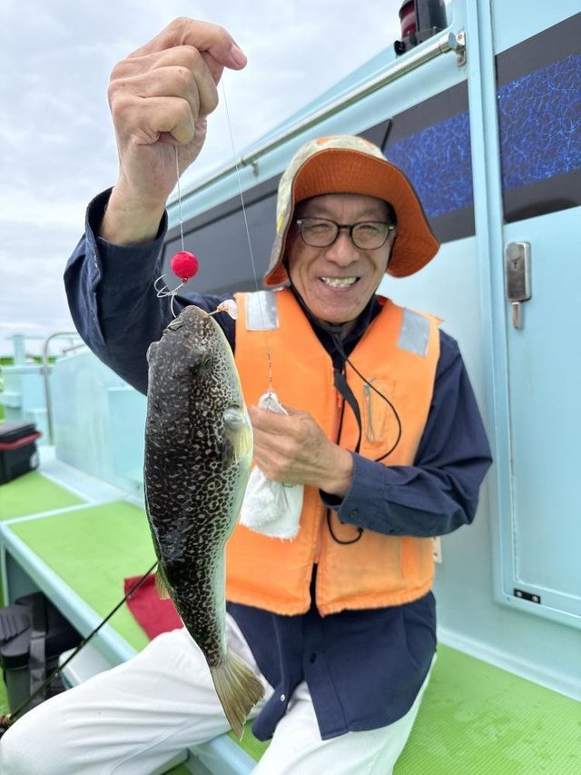 フグ(ショウサイフグ)