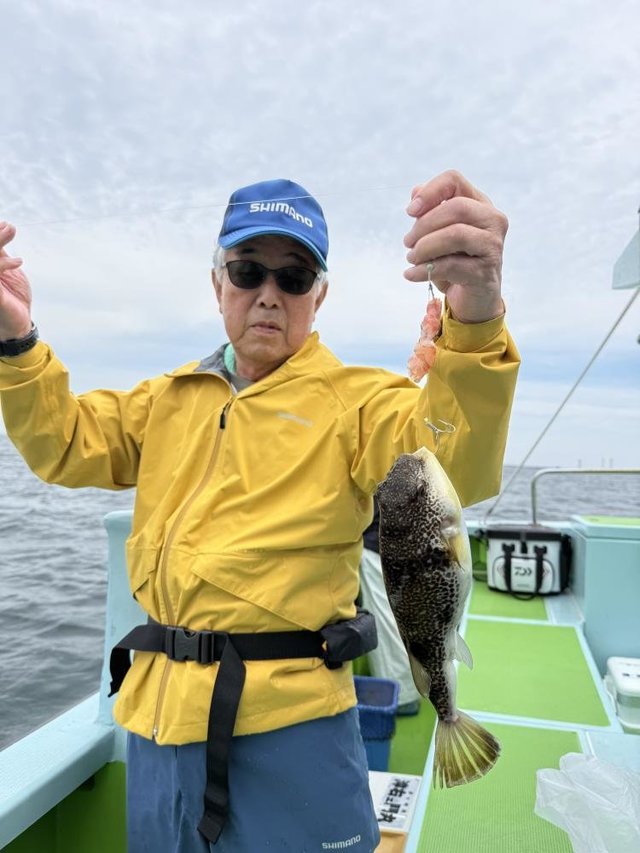 フグ(ショウサイフグ)