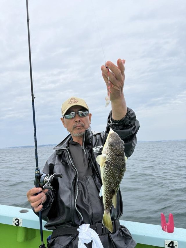 フグ(ショウサイフグ)