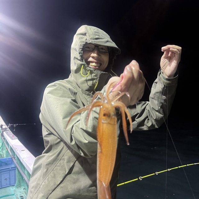 ムギイカ(スルメイカ)