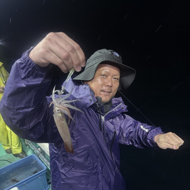 ムギイカ(スルメイカ)