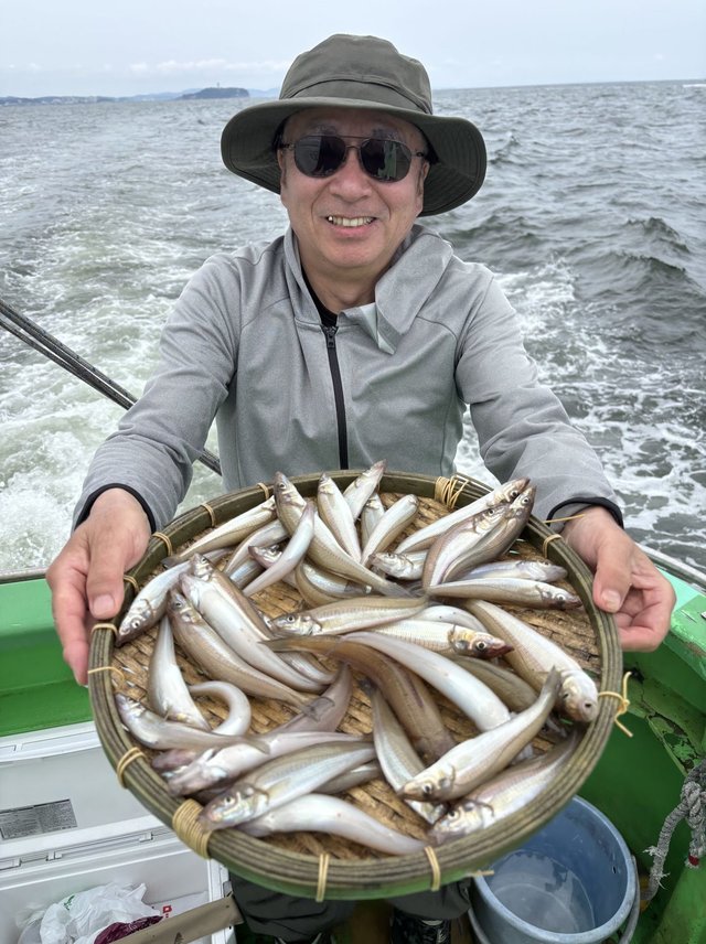 キス(シロギス)