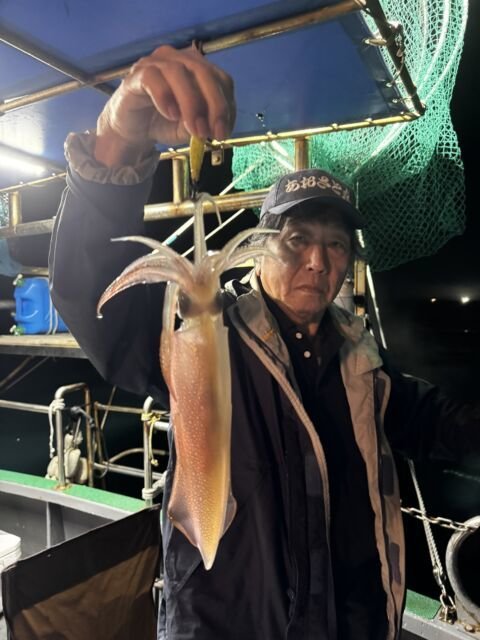 イカ(ヤリイカ)