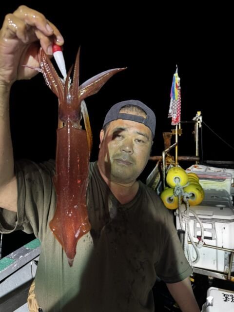 イカ(ヤリイカ)