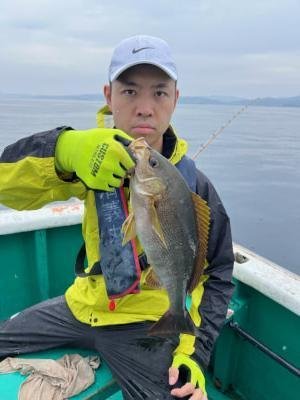 イサギ(イサキ)