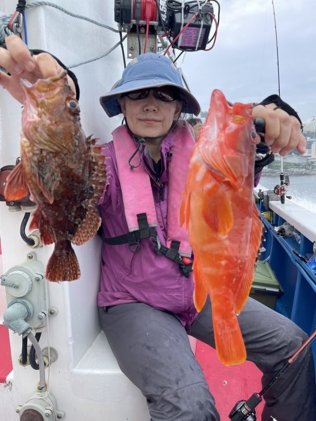 アカハタ・カサゴ