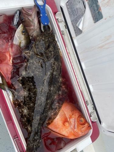 キントキ(チカメキントキ)・ヒラメ