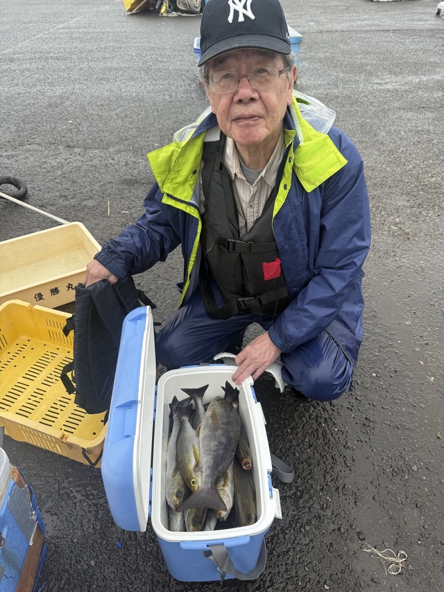 イサギ(イサキ)