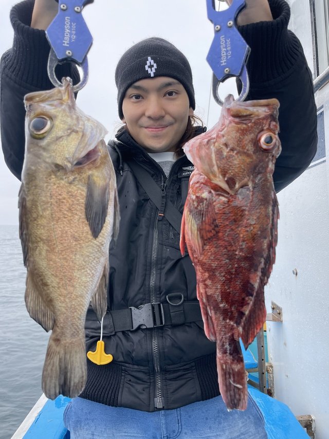 カサゴ・メバル