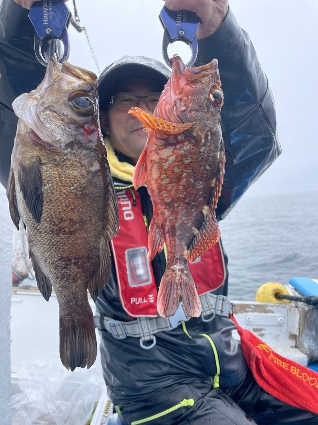 カサゴ・メバル