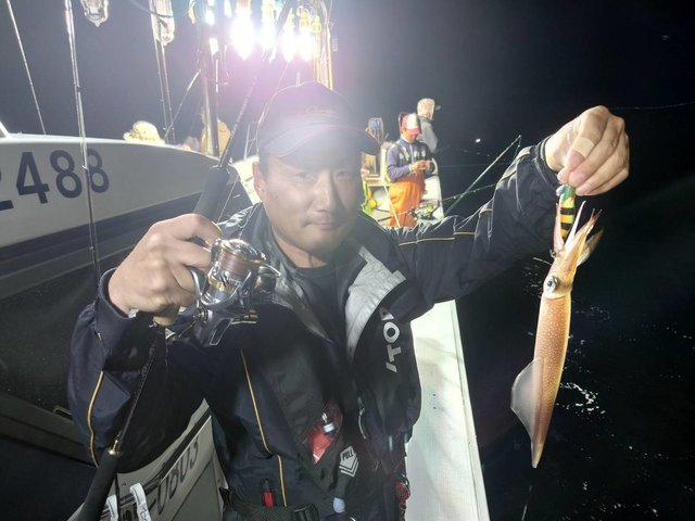 マイカ(ケンサキイカ)