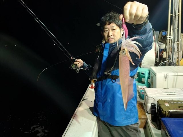 マイカ(ケンサキイカ)