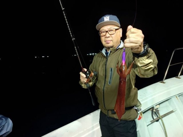 マイカ(ケンサキイカ)