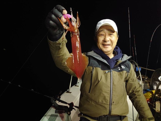 マイカ(ケンサキイカ)