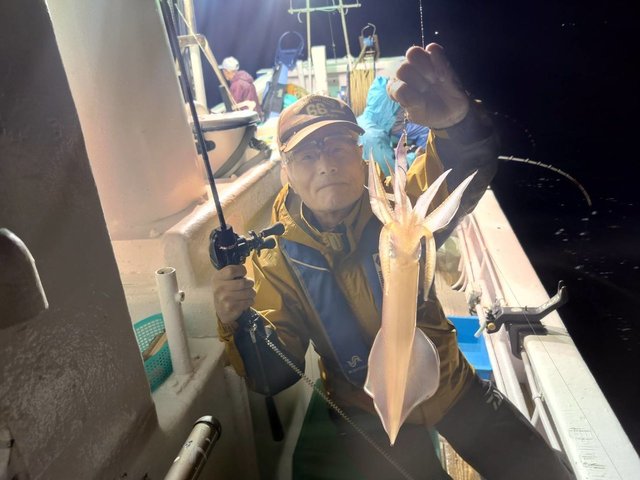 マイカ(ケンサキイカ)