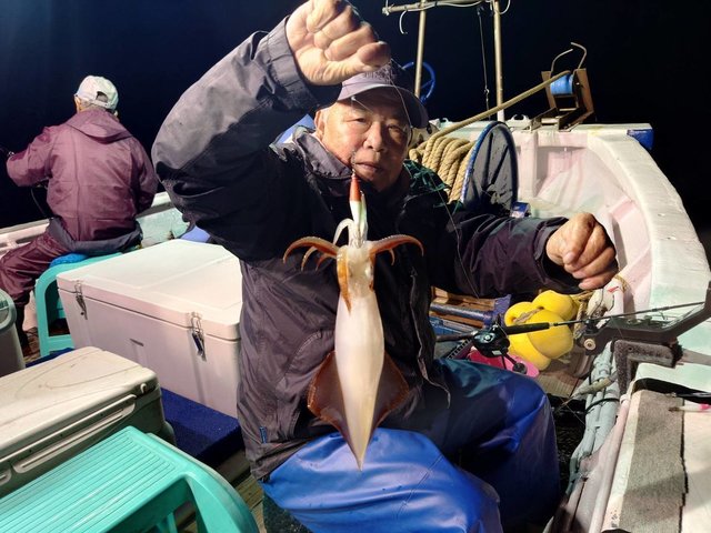 マイカ(ケンサキイカ)