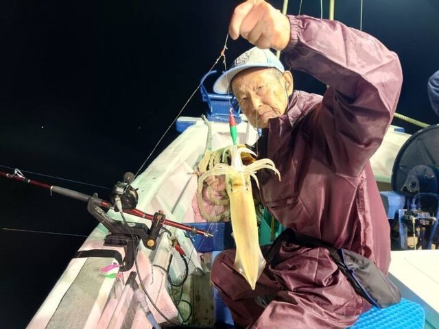 マイカ(ケンサキイカ)