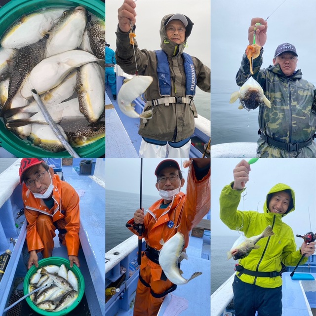 ショウサイフグ