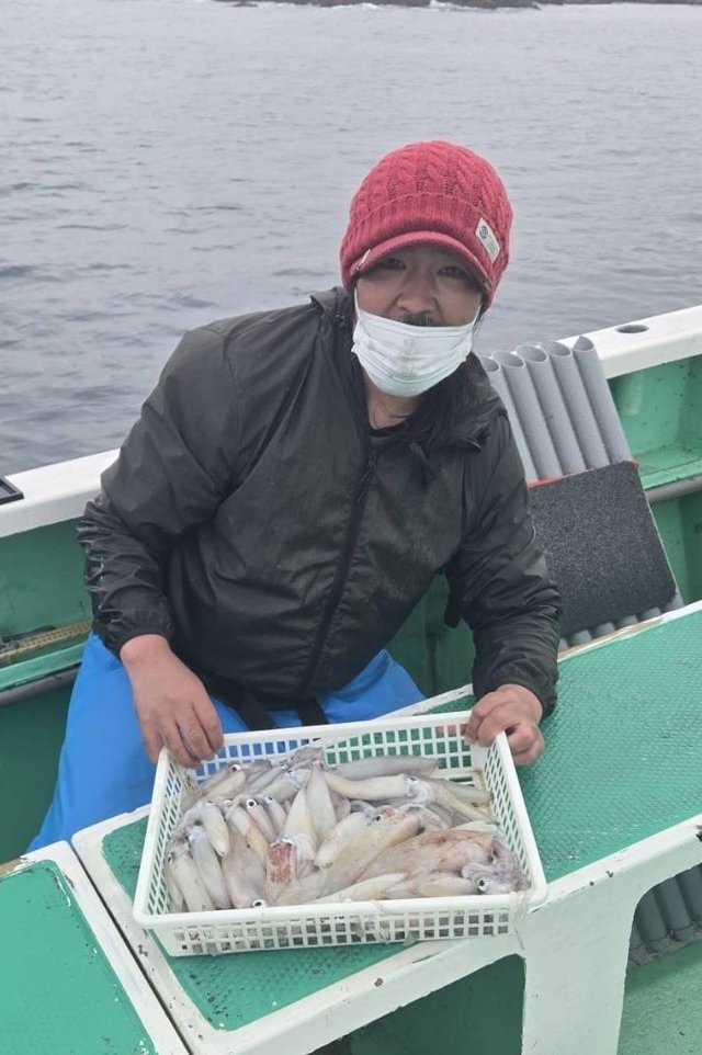 マルイカ(ケンサキイカ)