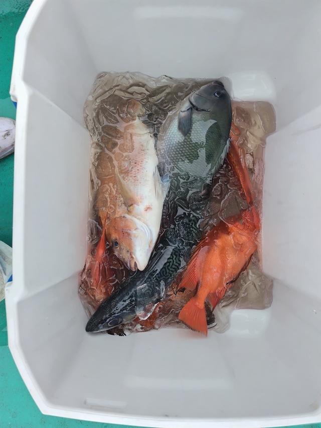 チカメキントキ