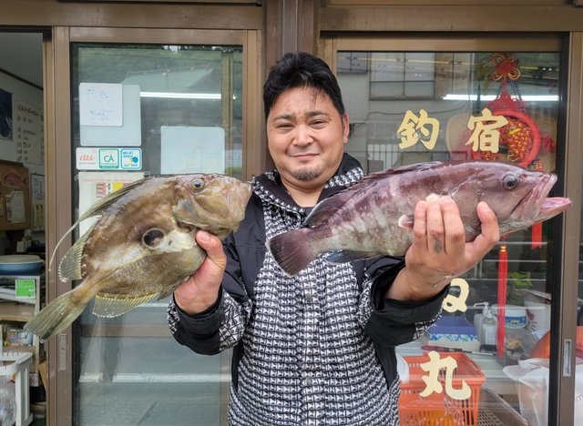 マトウダイ・ハタ(マハタ)