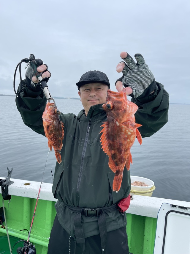 カンコ(ウッカリカサゴ)