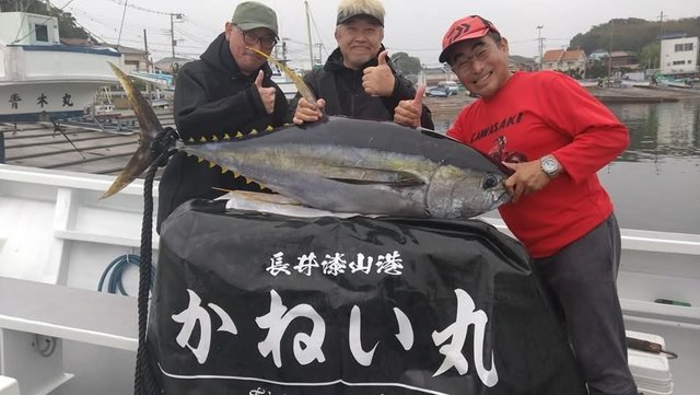 キハダマグロ(キハダ)