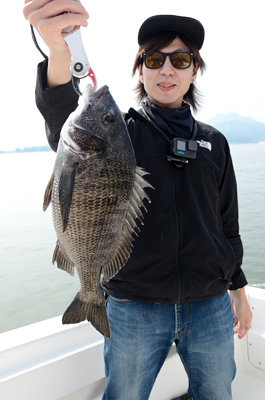 マチヌ(クロダイ)