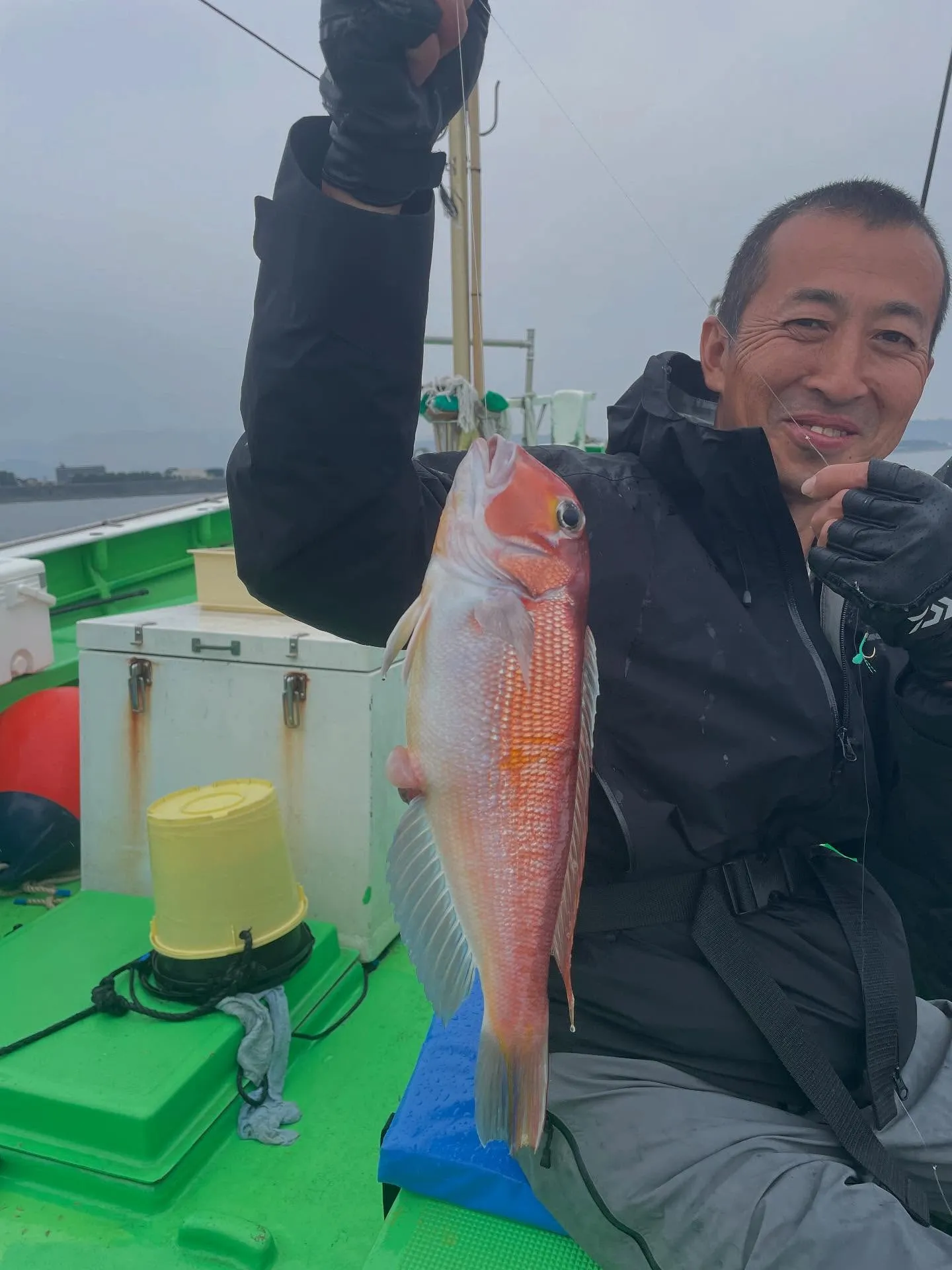 アマダイ(アカアマダイ)