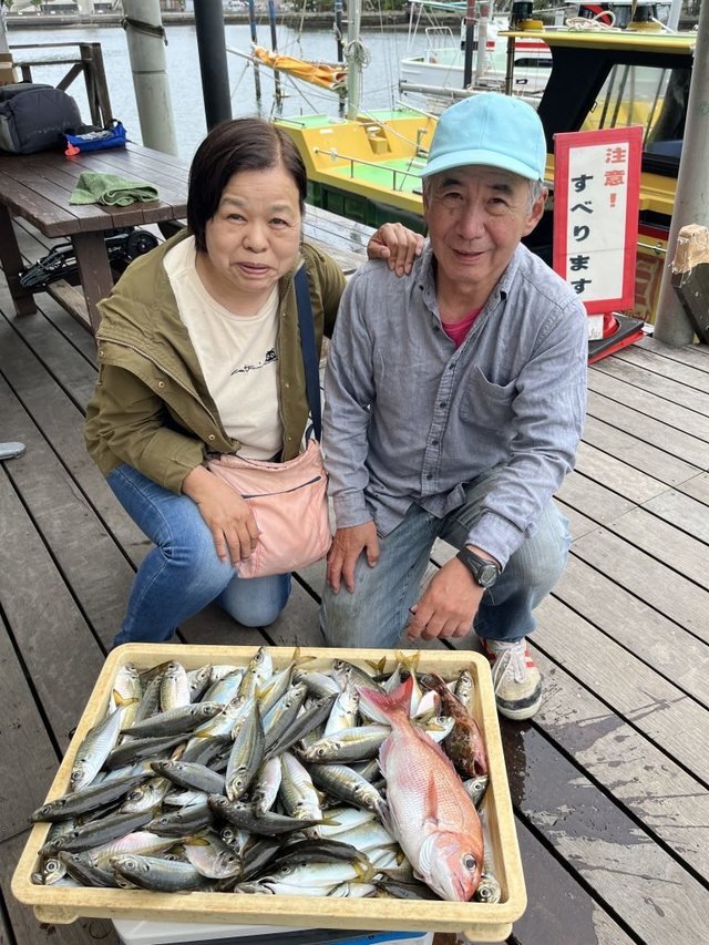 マダイ・アジ(マアジ)