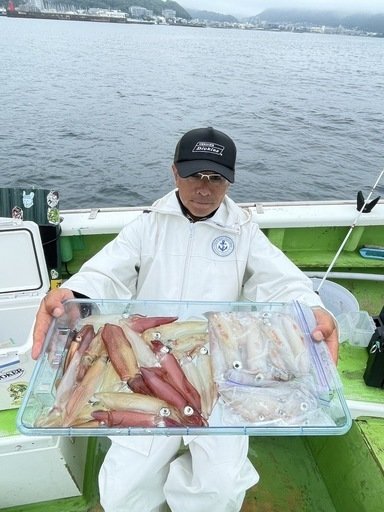 マルイカ(ケンサキイカ)