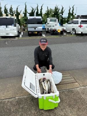 イサギ(イサキ)