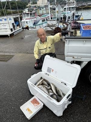 イサギ(イサキ)