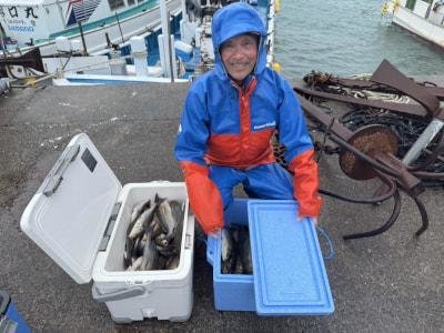 イサギ(イサキ)