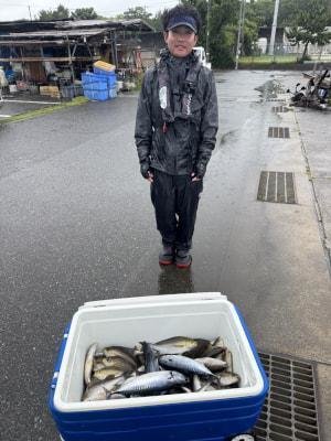 イサギ(イサキ)