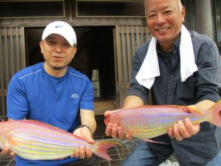 イトヨリ(イトヨリダイ)