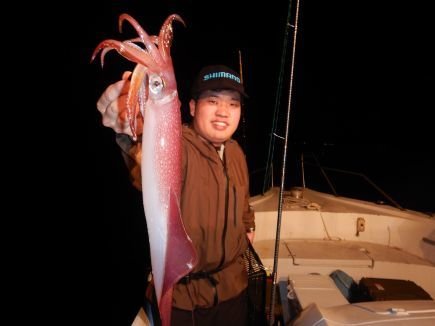 シロイカ(ケンサキイカ)