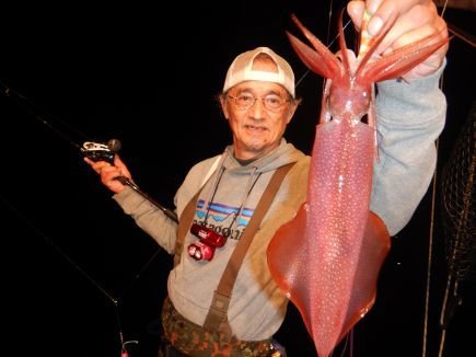 シロイカ(ケンサキイカ)