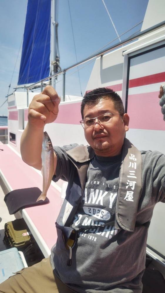 キス(シロギス)