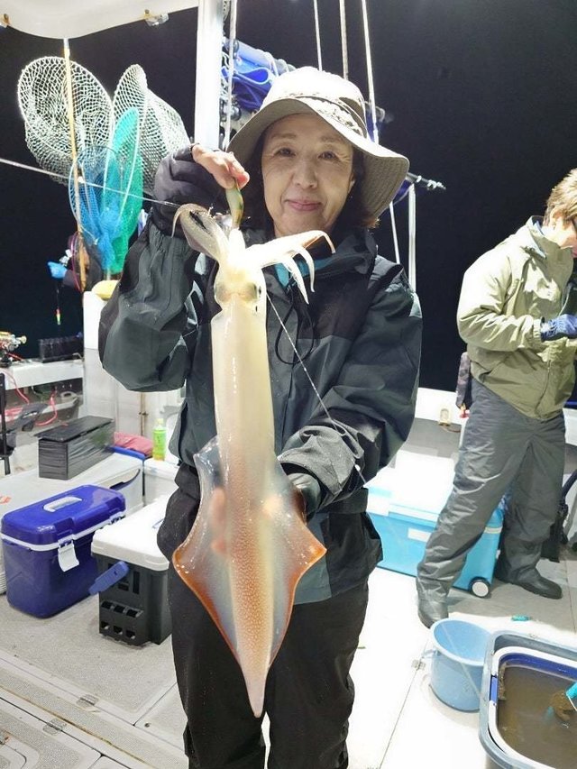 ケンサキ(ケンサキイカ)