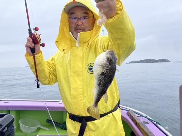 ショウサイフグ