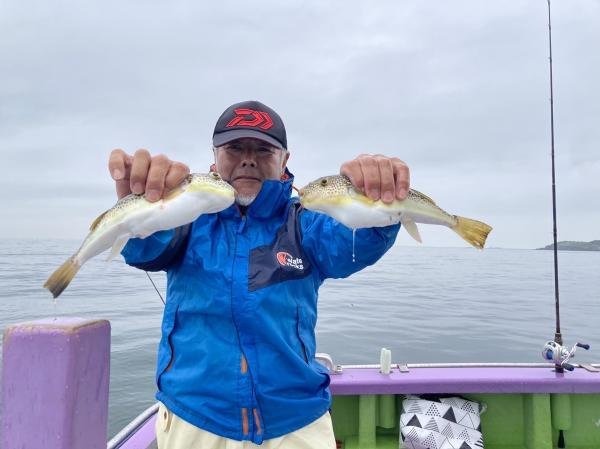 ショウサイフグ