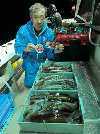 スルメイカ・マイカ(ケンサキイカ)