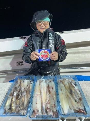 スルメイカ・マイカ(ケンサキイカ)