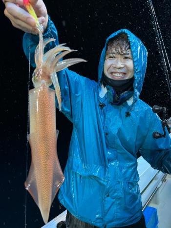 マイカ(ケンサキイカ)