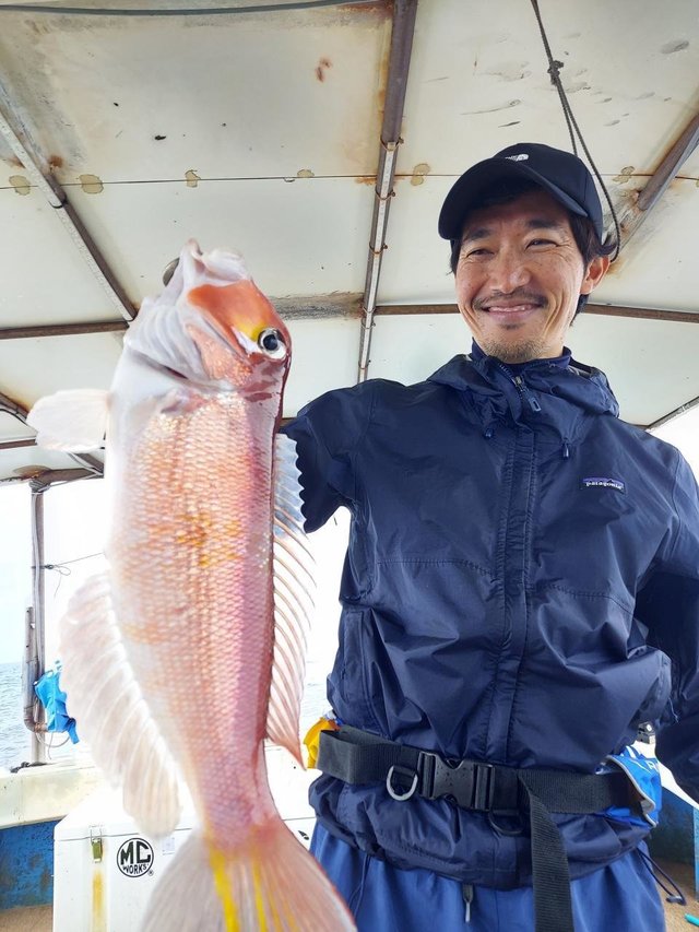 アマダイ(アカアマダイ)