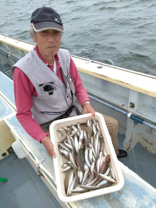 シロキス(シロギス)