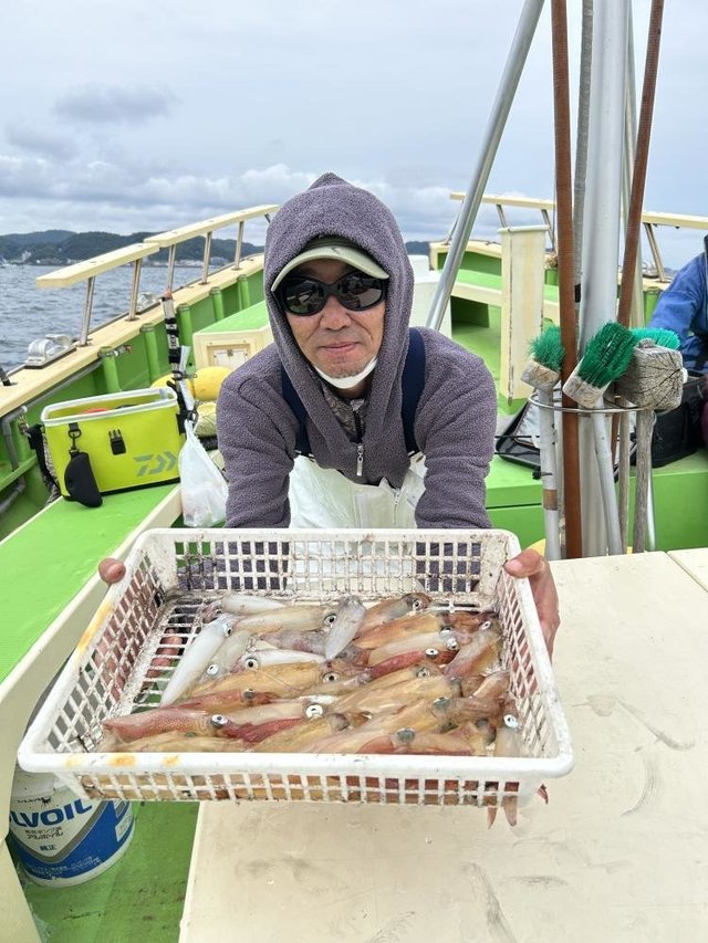 マルイカ(ケンサキイカ)