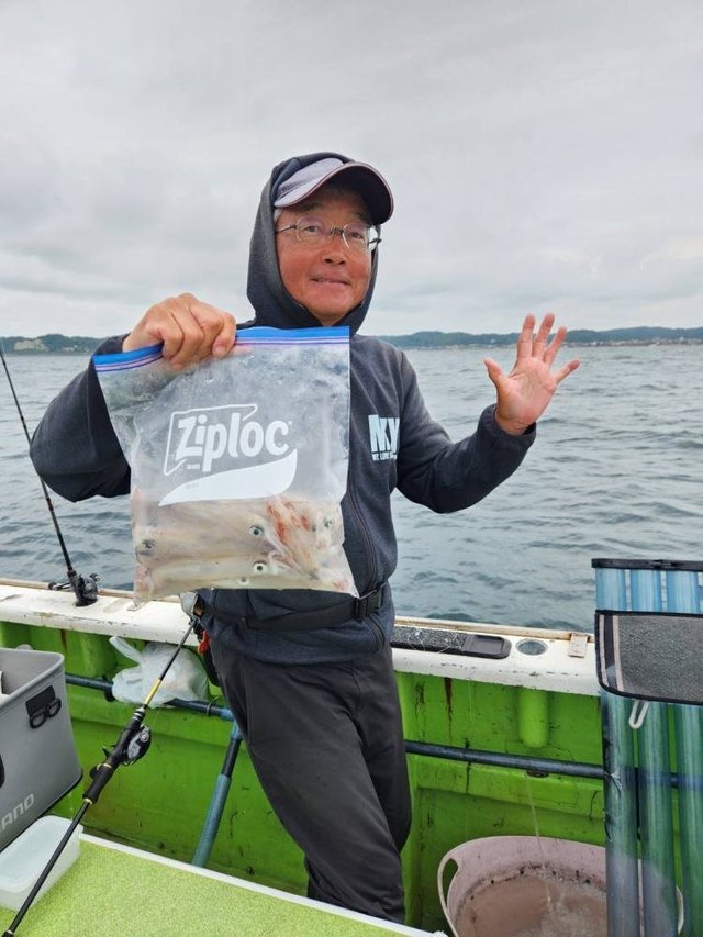 マルイカ(ケンサキイカ)